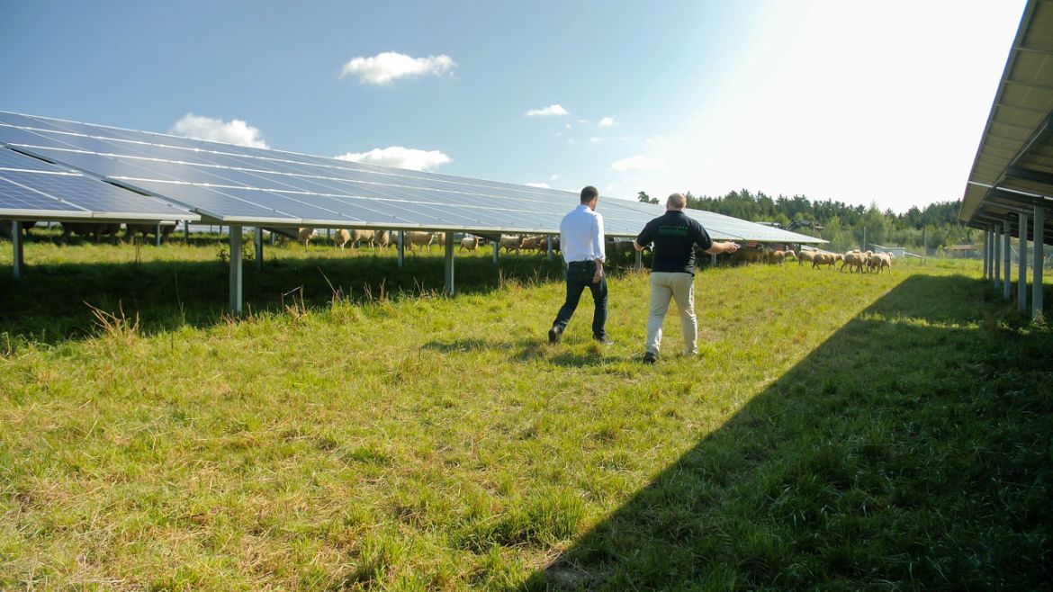 Solcelleinstallasjon i Tyskland åpent landskap